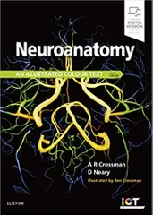Neuroanatomy: an Illustrated Colour Text 6th Edition By Alan R. Crossman