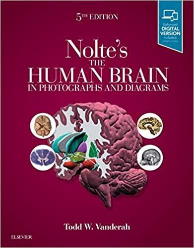 Nolte's The Human Brain in Photographs and Diagrams 5th Edition 2019 By Todd Vanderah